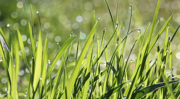 Membagi tanpa mengharapkan, Menerima tanpa memaksakan
___________________ 

Salam beraktifitas
Salam sehat wal'afiat 

🌾🌾🌾🌾🌾
