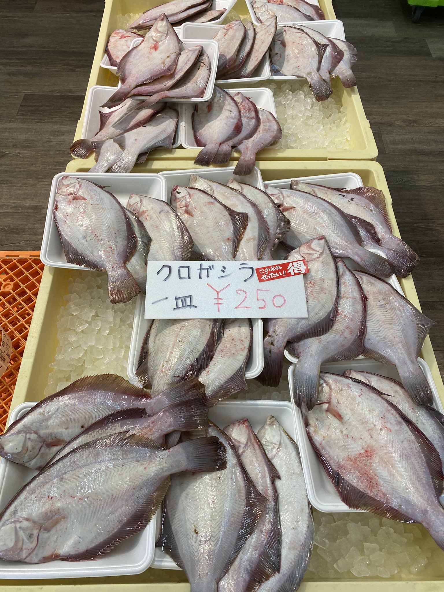 Jf八戸みなと 浜市場 みなとっと おはようございます 本日のサービス品は漁師さんが直接届けてくれた クロガシラカレイ 一皿3匹入りで250円で販売しております その他 アンコウのともあえ 等の みなとっとオリジナル商品や本マグロのお刺身等々