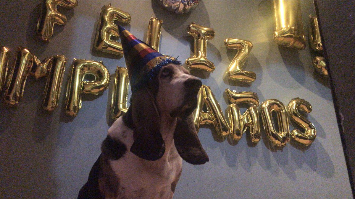 SofSolis001's tweet photo. Hoy mi bebe cumple 15 añitos, los que me conocen saben que Homero es mi vida entera ❤️❤️. A Homero me lo dieron cuando yo sólo tenía 5 y  desde ahí estamos juntos🐶. De verdad cuiden mucho a sus perritos y disfrútenlos todo lo que puedan‼️ ¡Feliz Cumpleaños a Homero! https://t.co/PDZur7q2D8