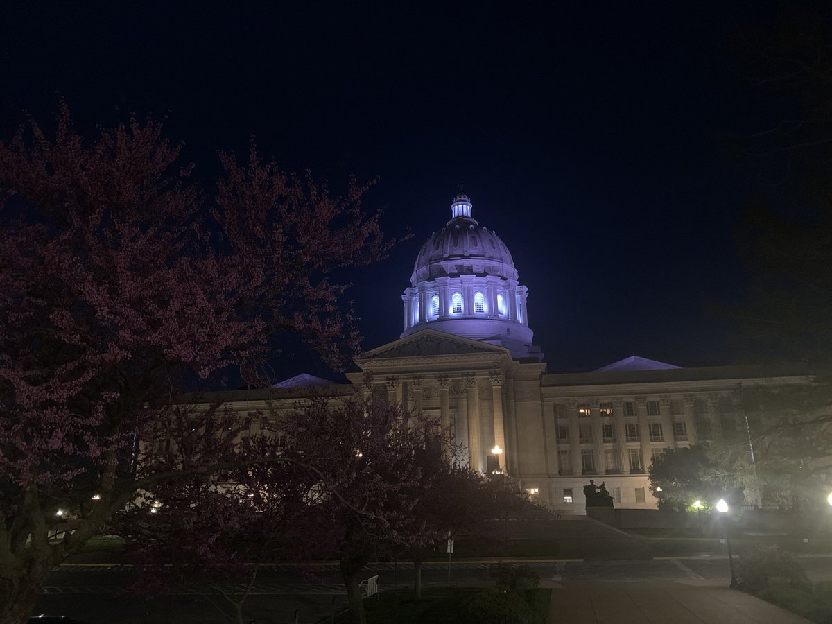 Tonight, we light the Capitol (and me) purple in recognition of Military Child’s Day. Thank you to the sacrifice that our military families make to serve our country. #WeServeMO
