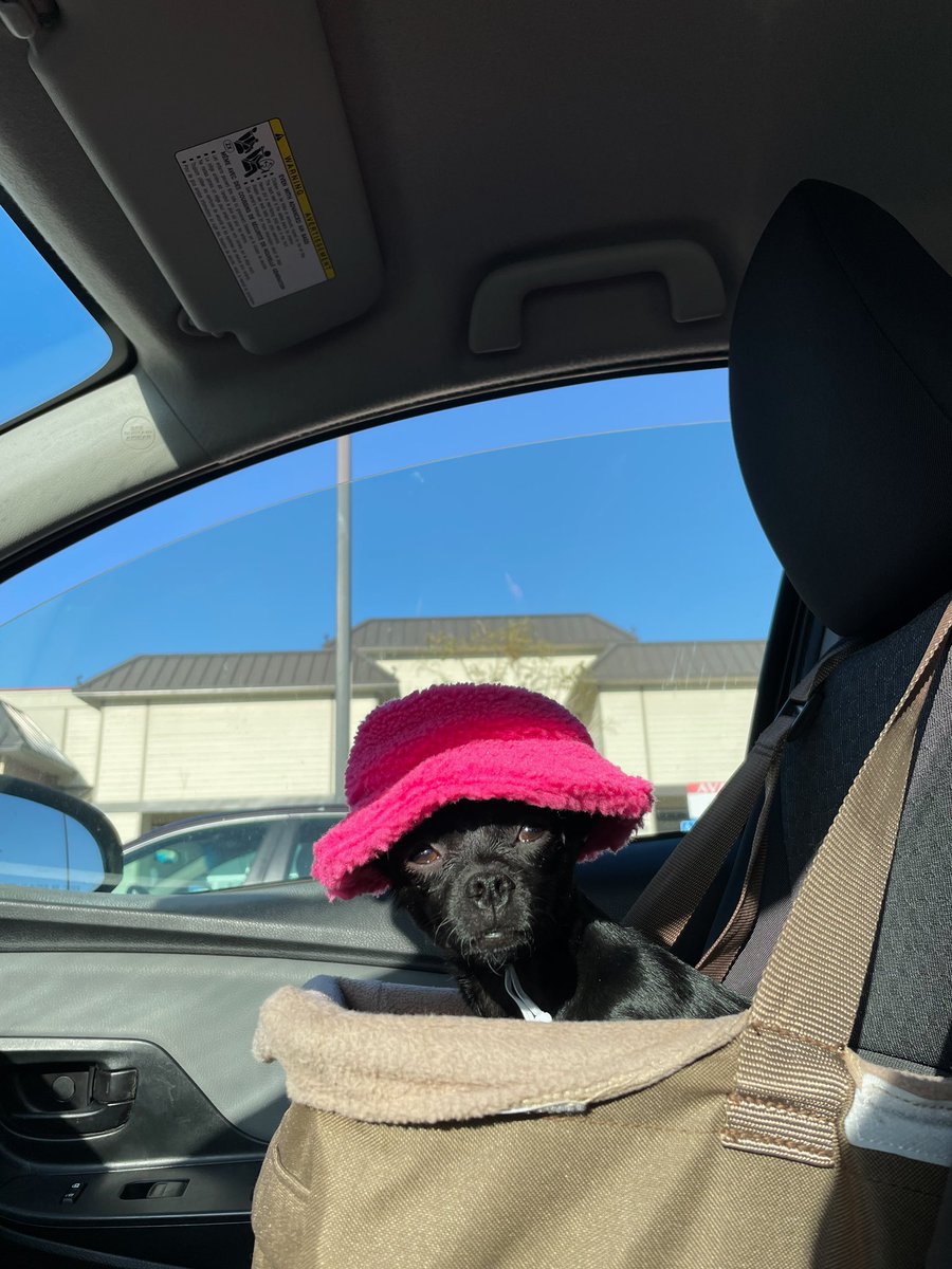 dhillsposable's tweet photo. My little old lady https://t.co/agex1BSmlD