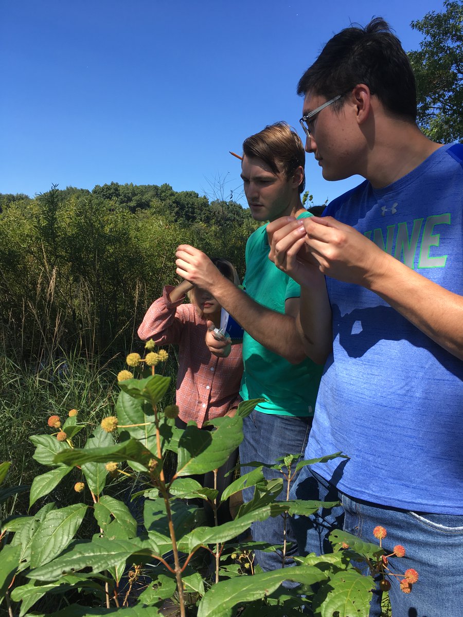 Donations to the Sustainability Minor enable us to create unique experiential courses such as Local Flora, in which students learn to identify trees and wildflowers in local habitats. Help us expand our offerings this #NDday at bit.ly/3wT12Cz!