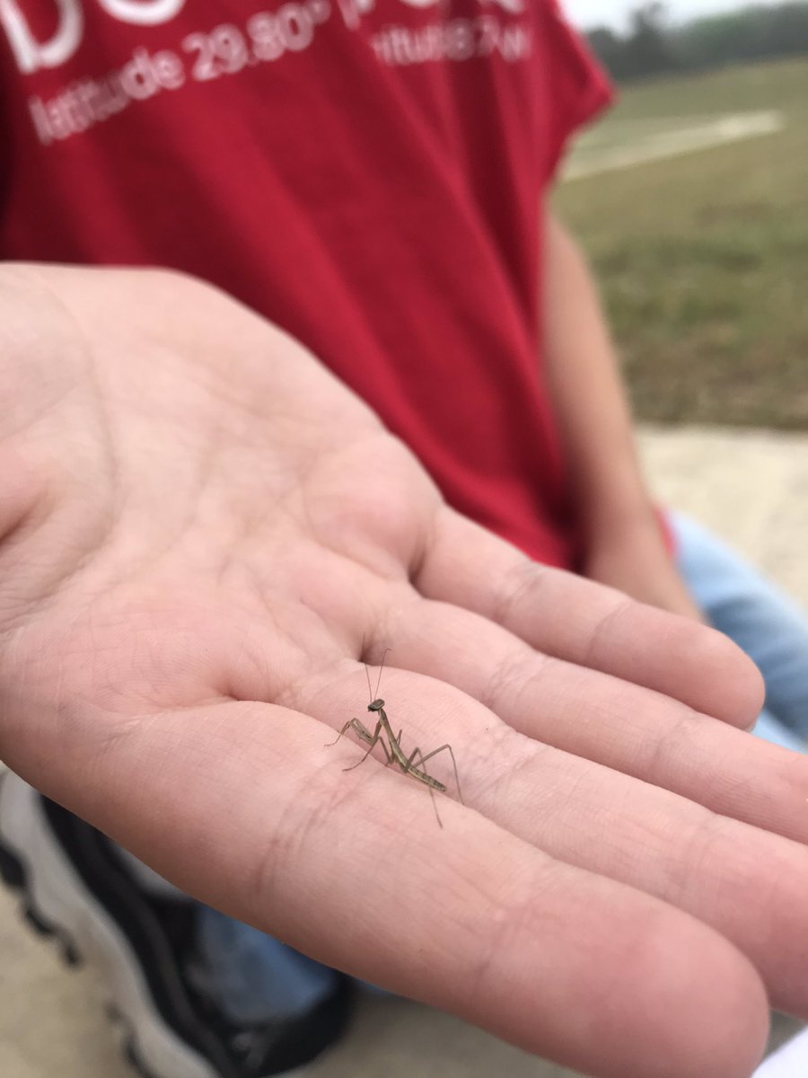 Fabra First Grade tweet media