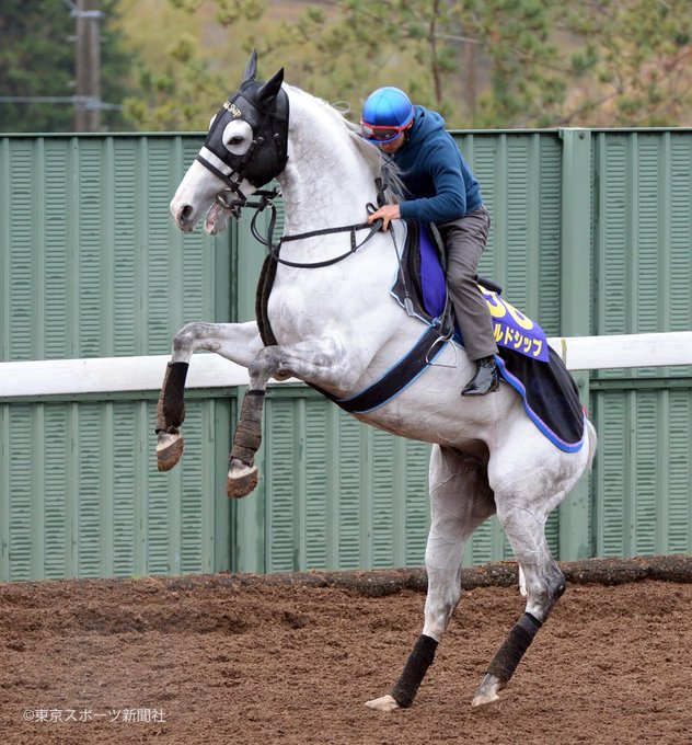 お昼休みのお供にゴルシ様の雄姿をどうぞ ゴールドシップ 皐月賞 競馬