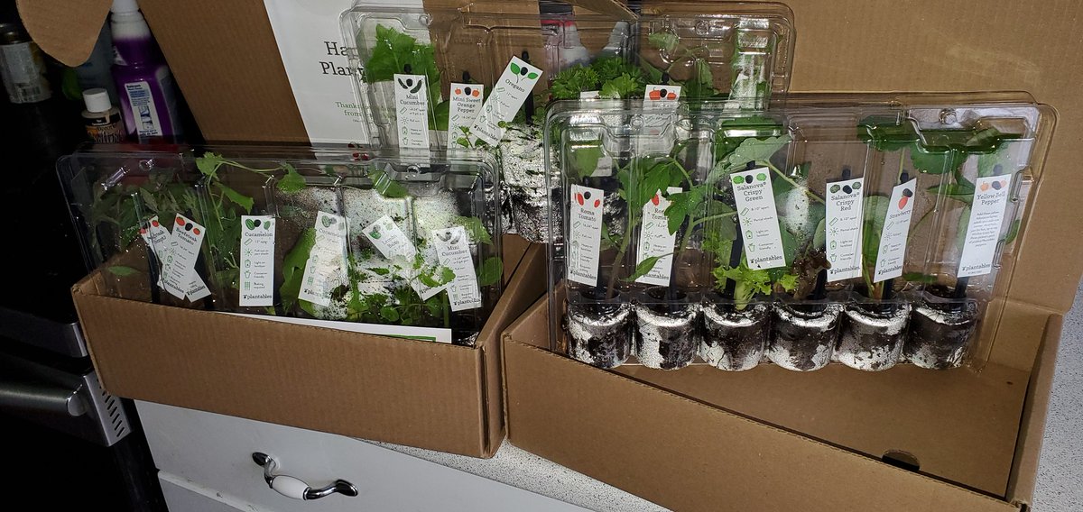 Mag88958173's tweet photo. @alcdsb_rosa Plantables was an amazing choice for a fundraiser. So impressed! https://t.co/JVzKF8BcEL