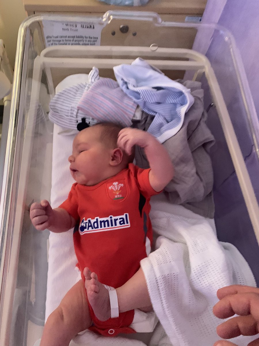bradderzw07's tweet photo. Gruffydd (griff) Matthew williams  future welsh back row 😂🏴󠁧󠁢󠁷󠁬󠁳󠁿💪🏻💪🏻 https://t.co/HG1ZW2GljI