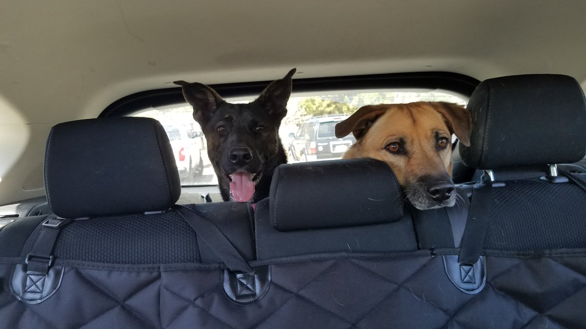 Claudia Rückert tweet media