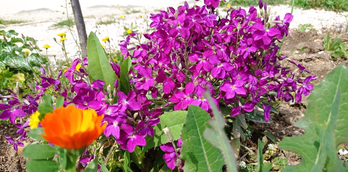 ...🌷

İçimizin gürültüsünden,
Dışımızdaki baharı unuttuk..

#HayırlıSahurlar