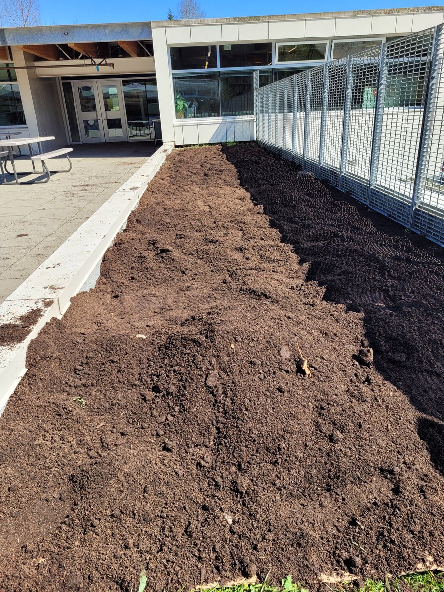 Classroom gardening is such a positive experience for students. We did seed planting and preparing the garden bed. <a href="/Kirsten_SD43/">Kirsten Paterson</a> <a href="/DanielMar785/">Daniel Martin</a>