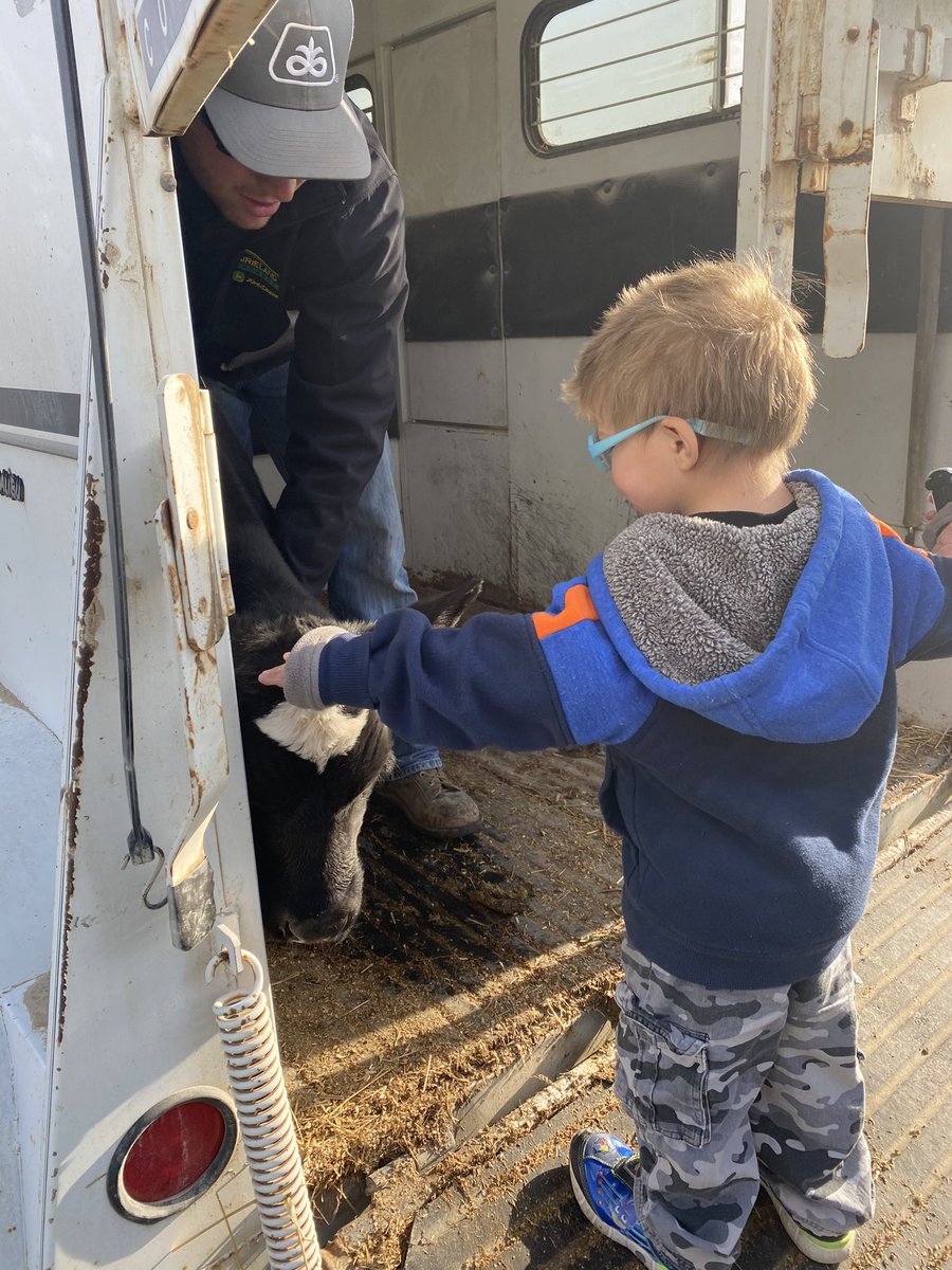 PreKCubs's tweet photo. Our preschool students loved farm week and enjoyed seeing  real farm animals!! Thank you to the parents and grandparents who shared this experience with us!  
#lincoln379 #usd379 https://t.co/R6LHdzztLs