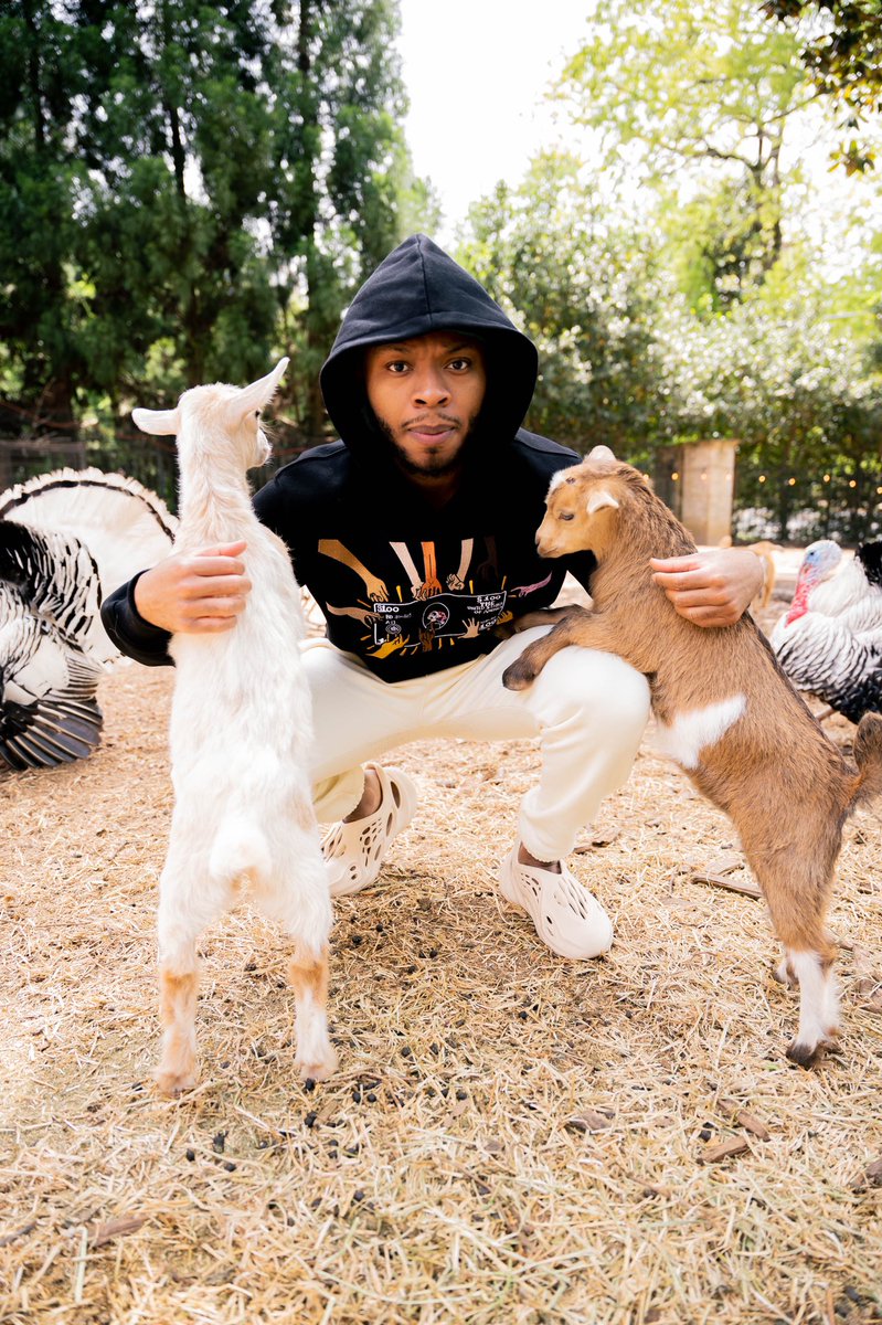 THECYNMOB's tweet photo. 🐐s amongst 🐐s https://t.co/UZRkek88tY