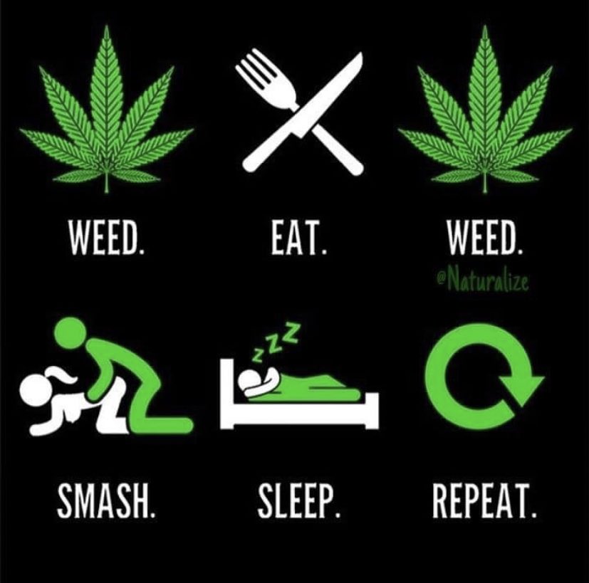 How many of you love this routine? 😍💚🥦 #canabigram #stonedfam #420 #4twenty #weed