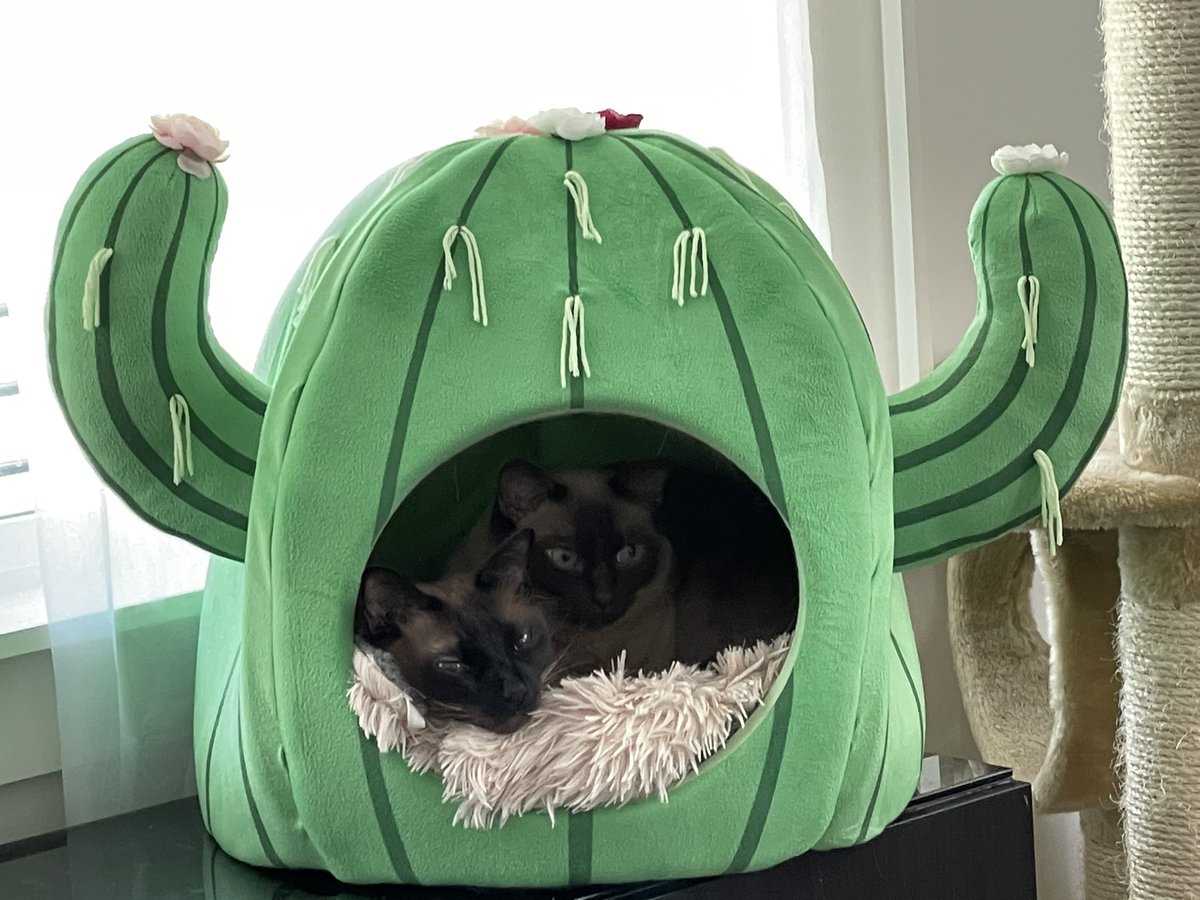 Ⓜ️elissa tweet media