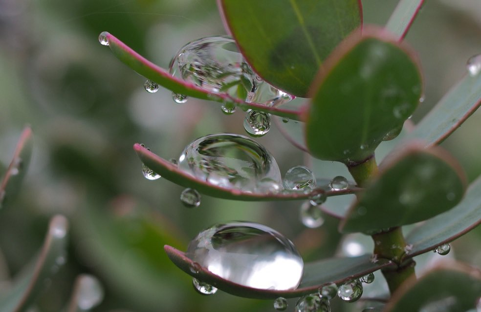 Peter James tweet media