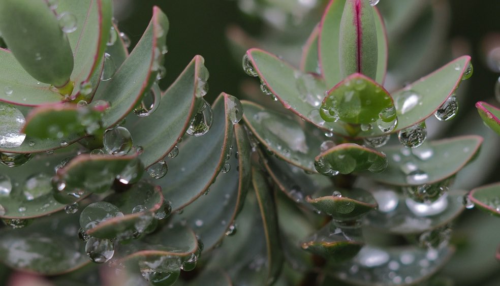 Peter James tweet media