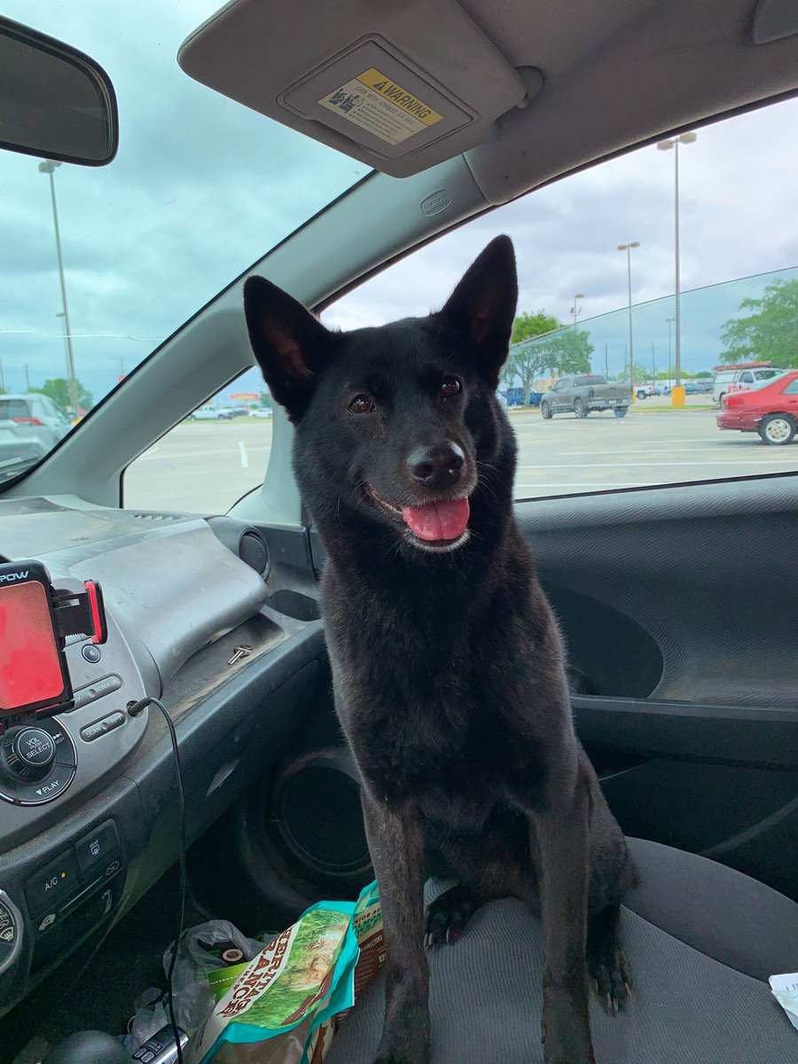 Jet-A Scented Airborne Welder (@cezieg) / Posts / X