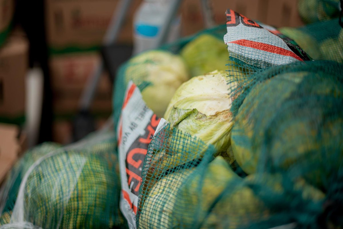 EverPct3's tweet photo. Today our team, the City of Alton, and the Texas National Guard distributed much-needed fresh produce and other nutritious foods to over 300 families in Alton. We’re thankful for our partnership with the @foodbankrgv and look forward to hosting more events in Precinct 3. https://t.co/yZwvKa4hnX