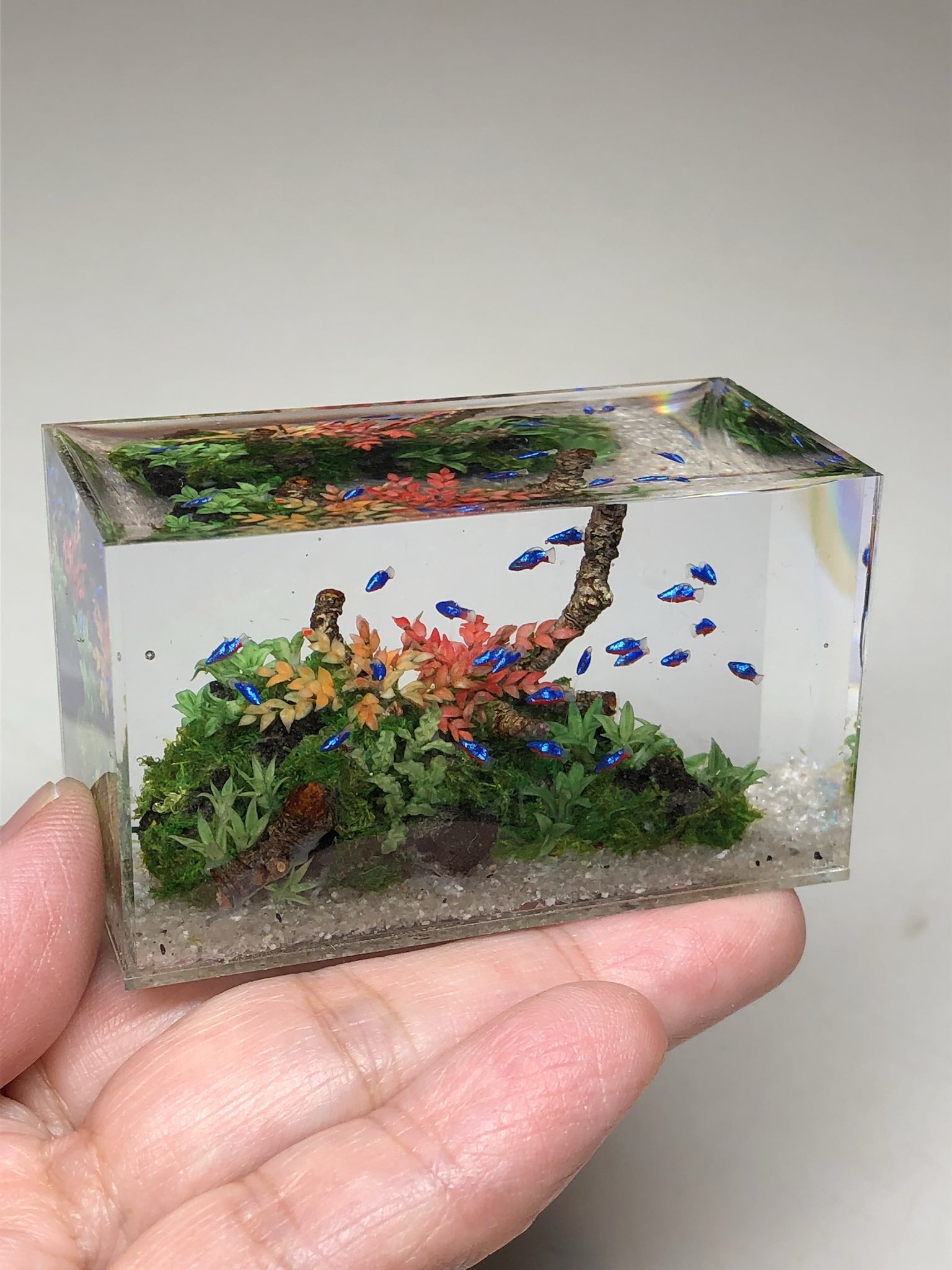 小林美幸 何か青いもの 青い魚 ネオンテトラ 水槽 ミニチュア ドールハウス 水草水槽 T Co Aukfpjpfgk Twitter
