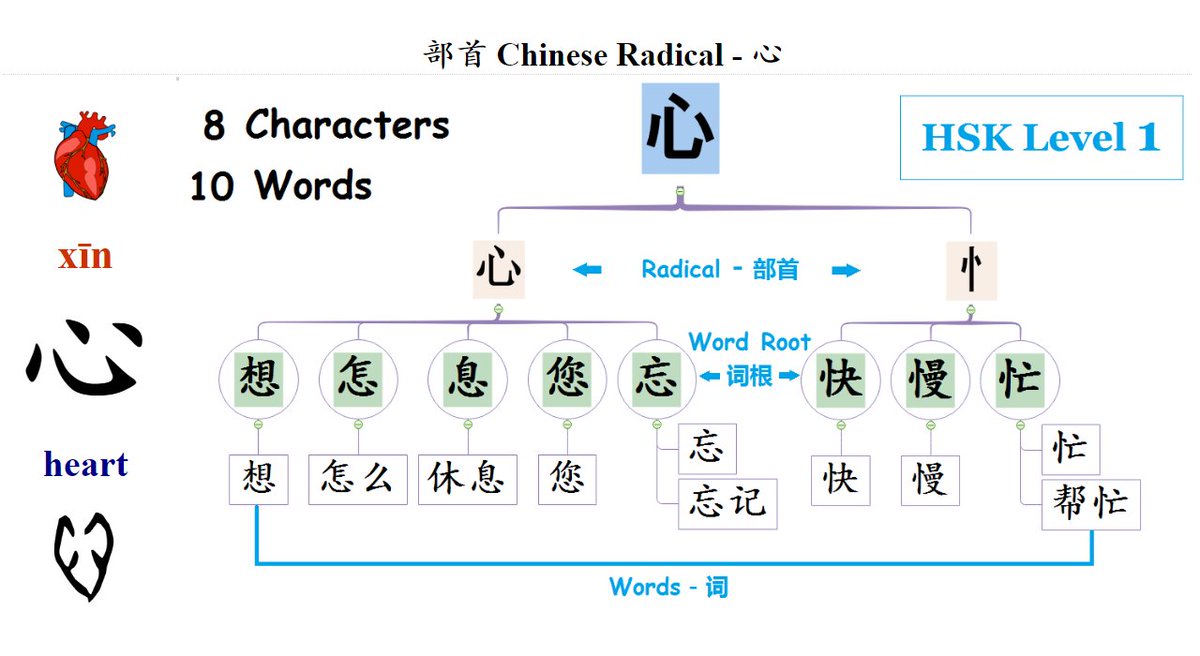 每日中文on Twitter Learn Chinese No 2 New Hsk Level 1 Vocabulary 从部首 到汉字 从词根到词1 15 Radicals 见 目 讠 心 忄 走 足 辶 门 囗 行
