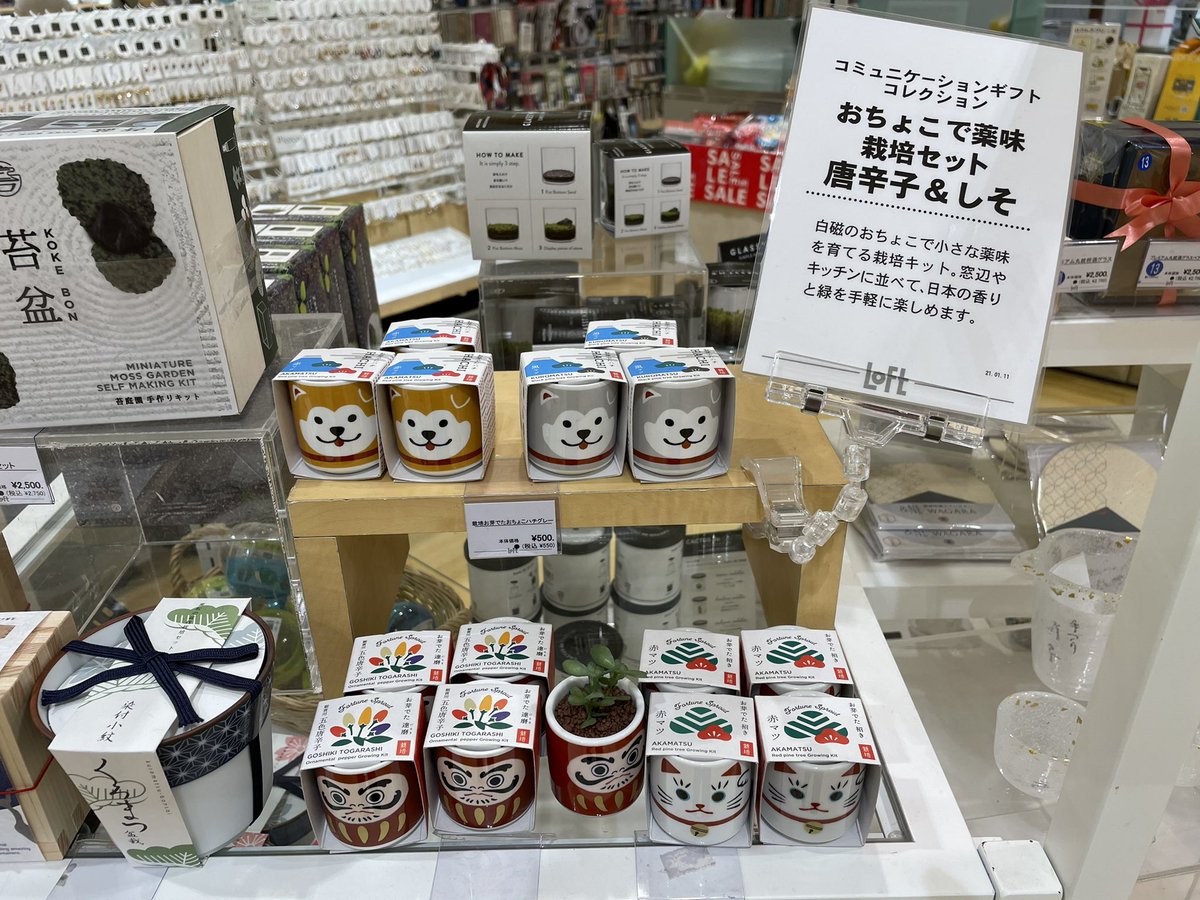 栽培セット 栽培セット
