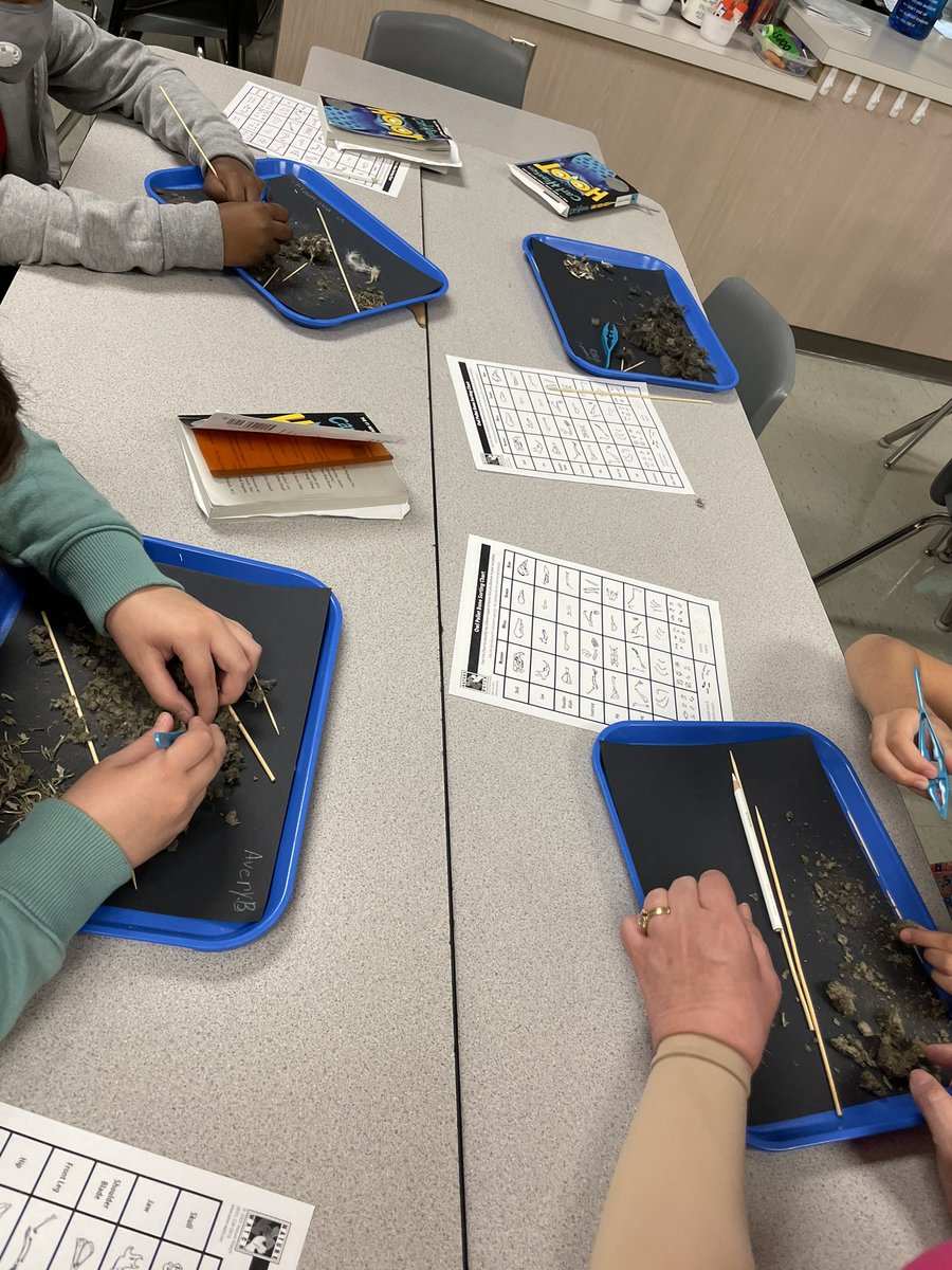 Stacy Lee Slater (@stacylslater) on Twitter photo Who had more fun at our Hoot book club today?? The kids or <a href="/meljbryant/">Melissa Bryant</a> and <a href="/StacylSlater/">Stacy Lee Slater</a>!? 🤷🏼♀️even our squeamish girls were digging through their owl pellets. #sciencelablady <a href="/USEStallions/">Stephens Elementary</a> Who had more fun at our Hoot book club today?? The kids or <a href="/meljbryant/">Melissa Bryant</a> and <a href="/StacylSlater/">Stacy Lee Slater</a>!? 🤷🏼♀️even our squeamish girls were digging through their owl pellets. #sciencelablady <a href="/USEStallions/">Stephens Elementary</a>