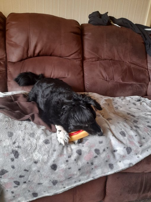 Thread of Socks, My baby