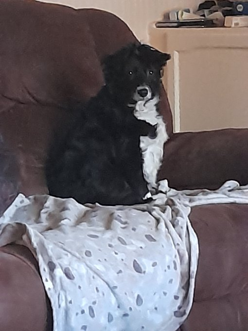 Thread of Socks, My baby