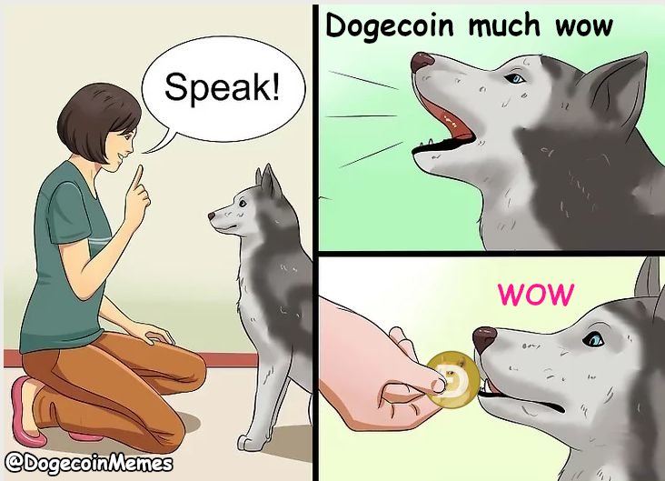 Dogecoin Memes Dogecoinmemes Twitter Dogecoin Memes Dogecoinmemes Twitter