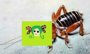 LeafyVanGoghVT's tweet image. #bugbugart