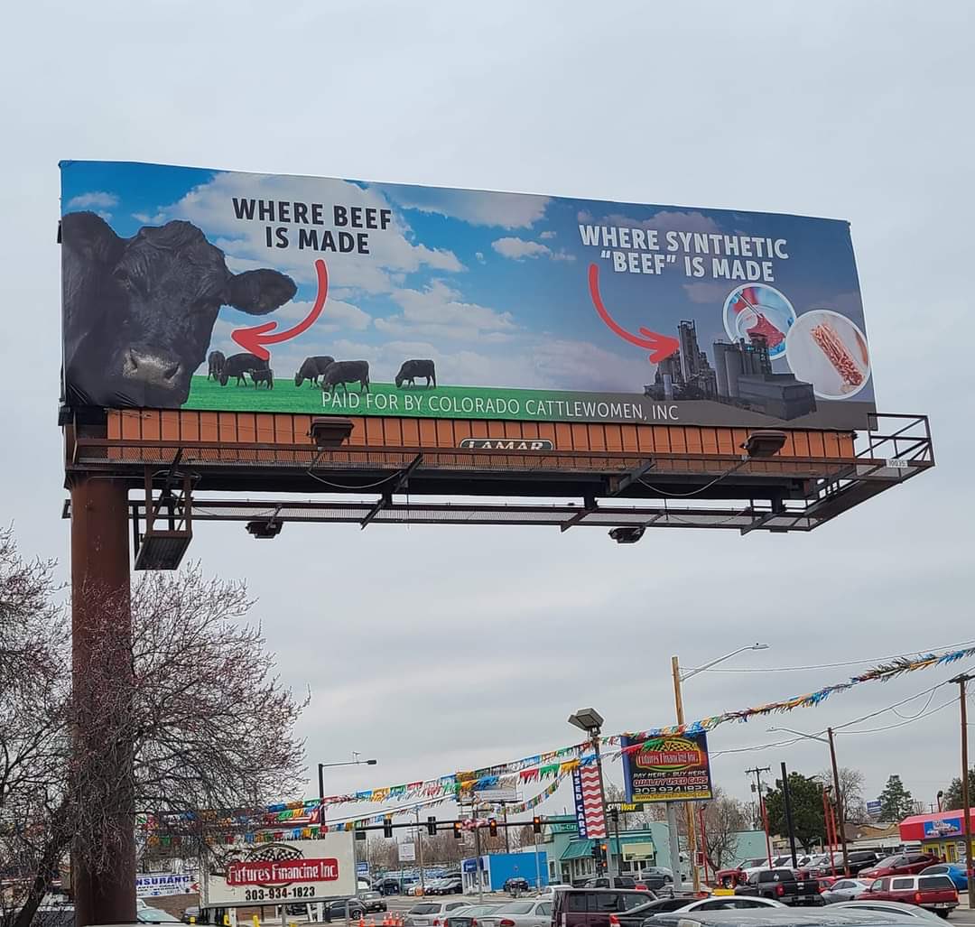 Scott Roesch tweet media