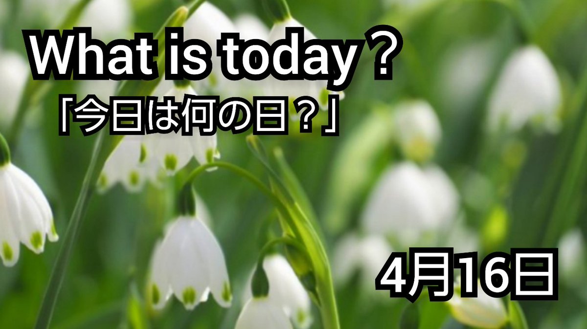 今日 は 何 の 日 雑学