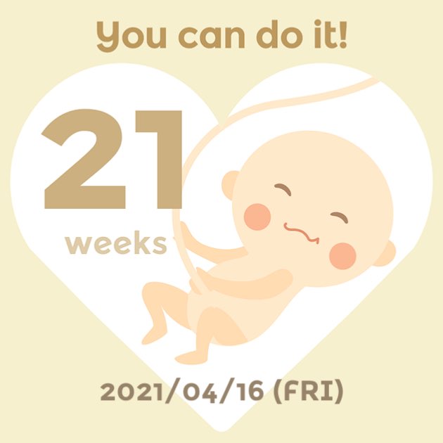 妊娠21週