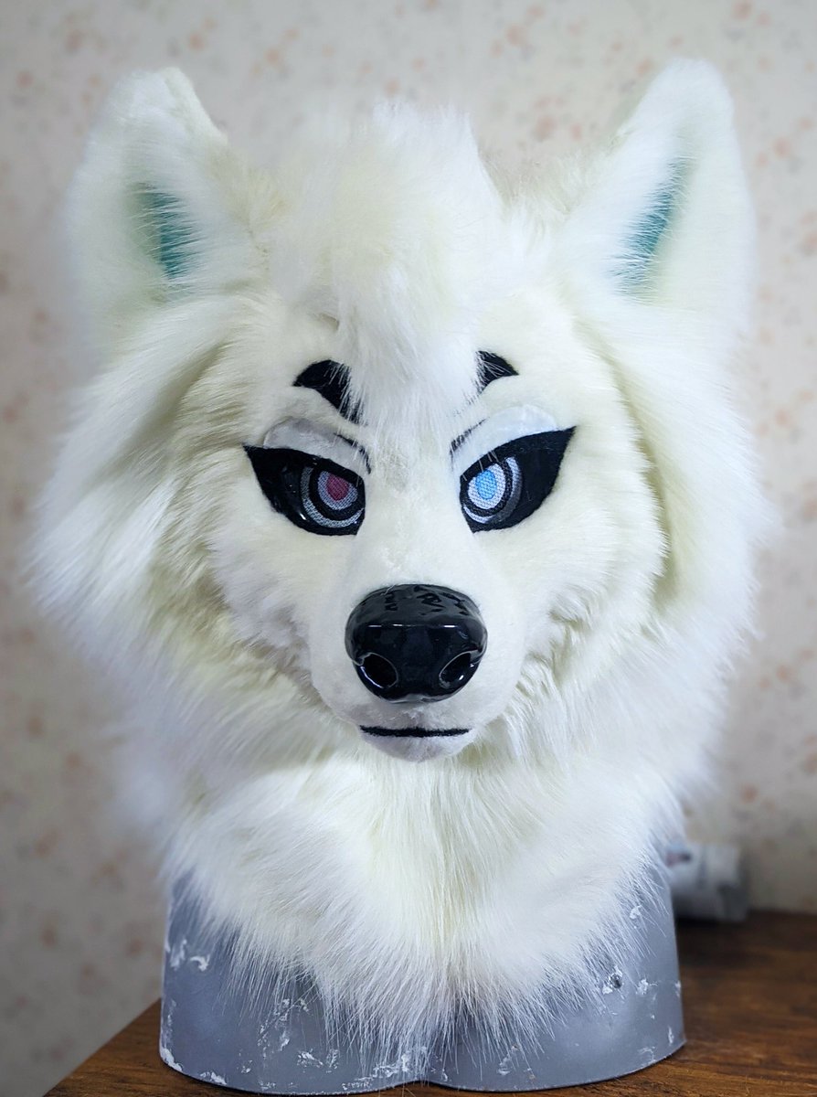 MidnightMkrs's tweet image. Got this poofy samoyed finished up while waiting for materials! He'll be a fullsuit soon as well. Really proud of this samoyeds thick mane so I had to share!