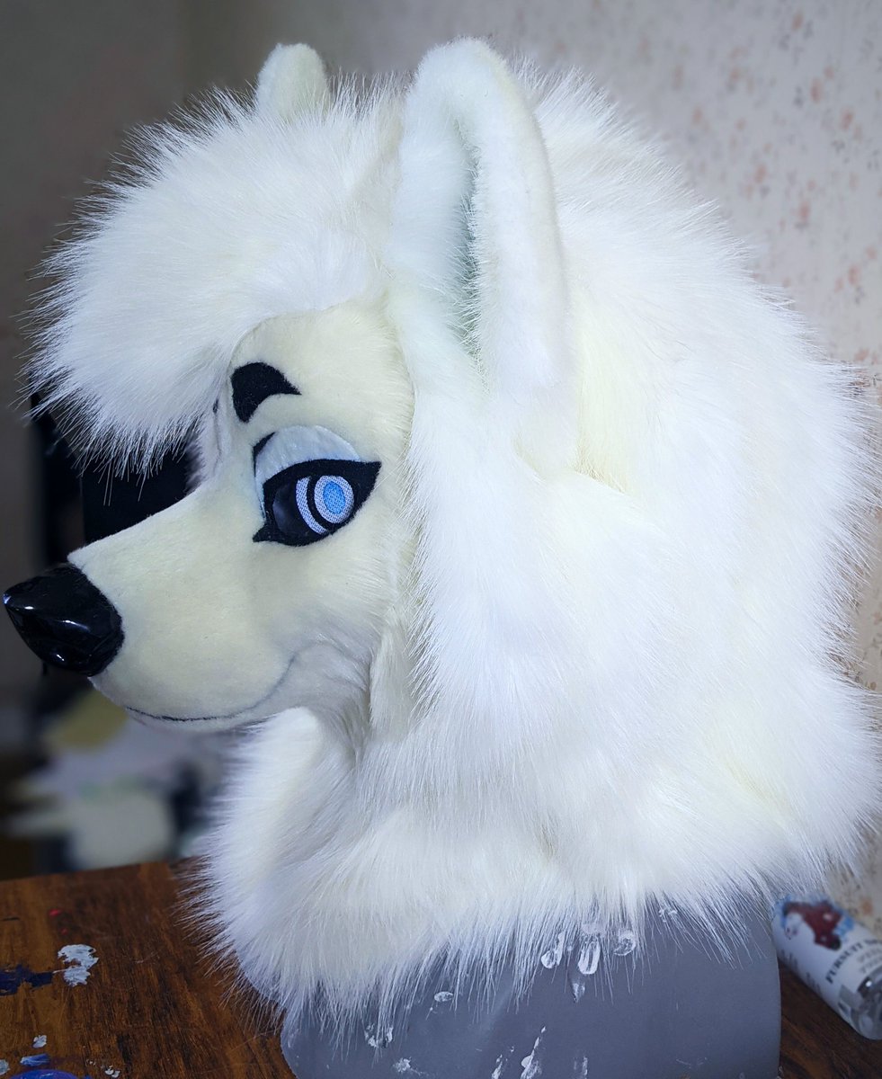 MidnightMkrs's tweet image. Got this poofy samoyed finished up while waiting for materials! He'll be a fullsuit soon as well. Really proud of this samoyeds thick mane so I had to share!