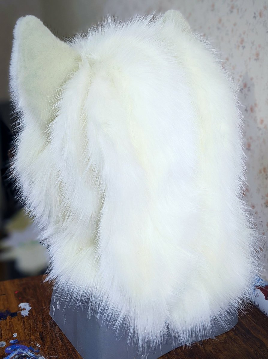 MidnightMkrs's tweet image. Got this poofy samoyed finished up while waiting for materials! He'll be a fullsuit soon as well. Really proud of this samoyeds thick mane so I had to share!