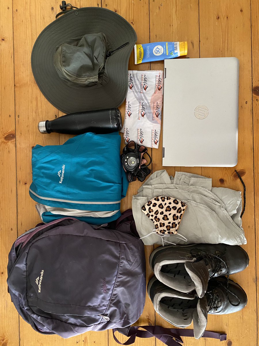 First post-PhD field trip to Kangaroo Island 🏝, but I’m not there for the kangaroos! 😏🦭🦭🦭