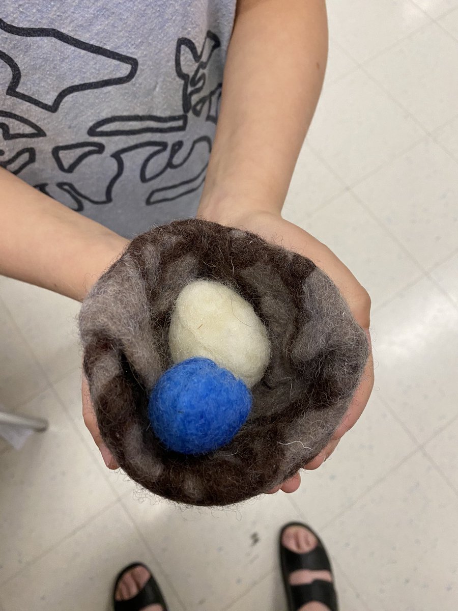jlcheveldeoff's tweet photo. @CappySmartCBE grade 3’s building birds nests and eggs through wet felting. Many curricular connections to science, social studies, art and more. Thanks to Leah Cathleen Donald at ArtFeltStudio. #supercappy https://t.co/Uifi5q7N4L
