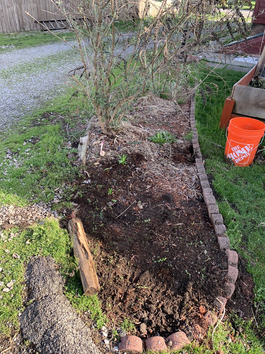 King of Spades Landscaping (KingofSpadesLa1) Twitter