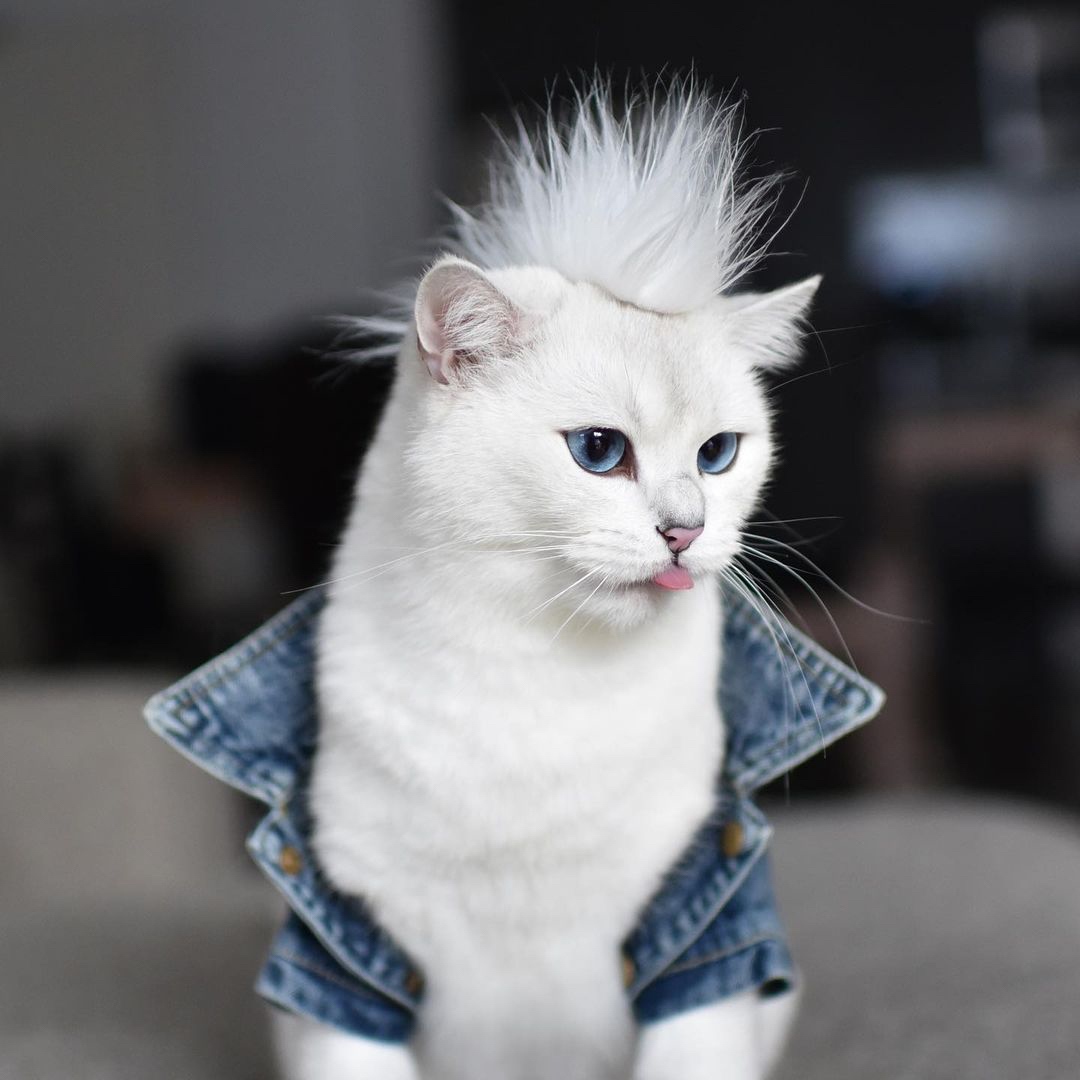 Image of this social media content