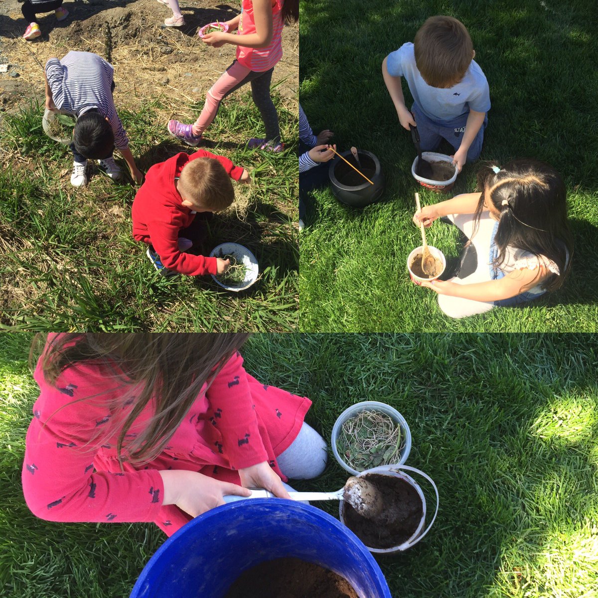 Beautiful day for making #birdnests: day 1 collecting material, making mud, and starting to build. Tomorrow the building continues. #outdoorfun #mudadventures  #birdinquiry <a href="/MaddaughSD36/">Maddaugh Elementary</a>
