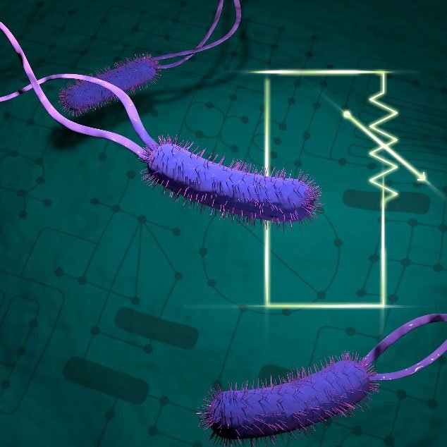 Science at PNNL (@sciencepnnl) on Twitter photo Scientist <a href="/wrcannon/">Bill</a> of <a href="/PNNLab/">Pacific Northwest National Laboratory</a> and <a href="/UCRiverside/">UC Riverside</a> colleagues developed new methods for @DOEScience that combine cutting-edge techniques to predict which enzymes control common biochemical pathways. Check out their findings - bit.ly/32wgEy9 Scientist <a href="/wrcannon/">Bill</a> of <a href="/PNNLab/">Pacific Northwest National Laboratory</a> and <a href="/UCRiverside/">UC Riverside</a> colleagues developed new methods for @DOEScience that combine cutting-edge techniques to predict which enzymes control common biochemical pathways. Check out their findings - bit.ly/32wgEy9