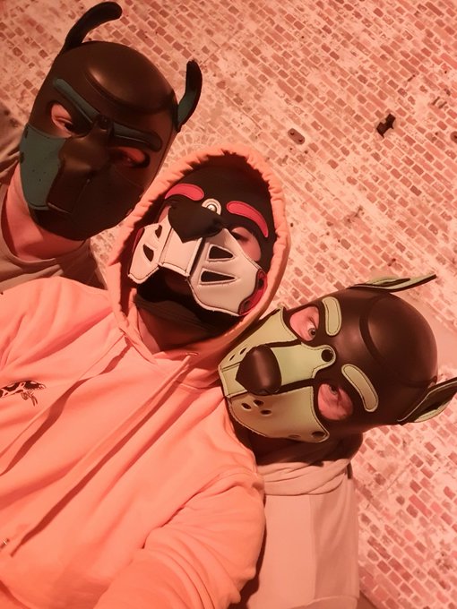 The three goofballs??? #bdsm #kink #fetish #puppyplay #petplay #pupplay https://t.co/QxnElddfAU