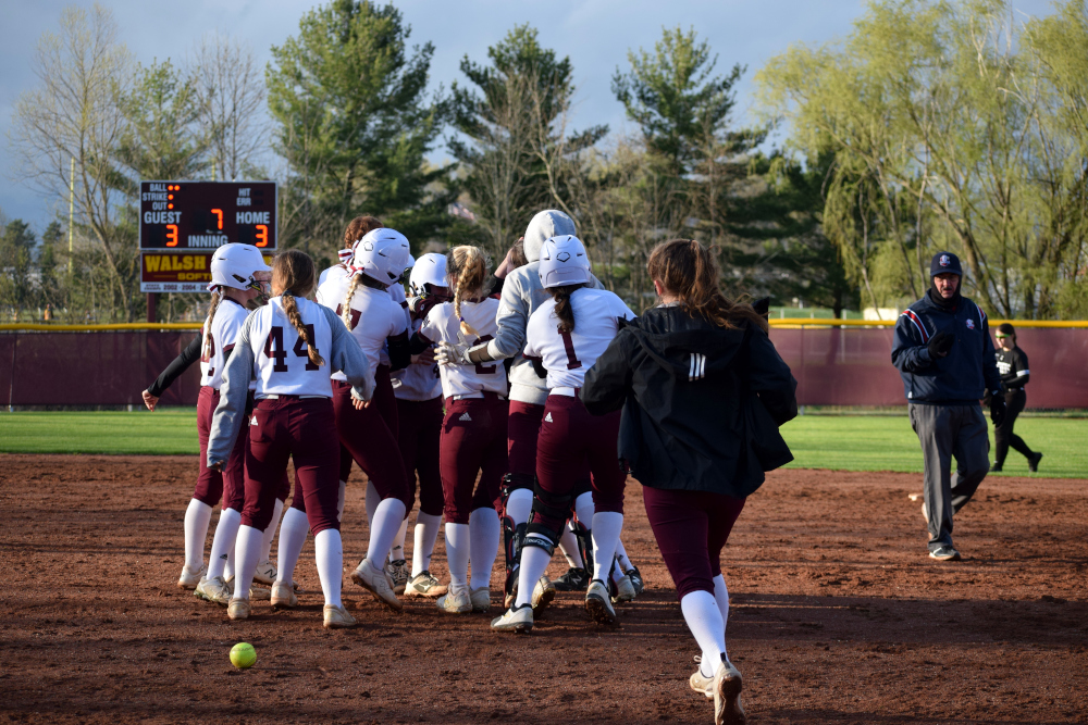 Walsh Jesuit Softball tweet media