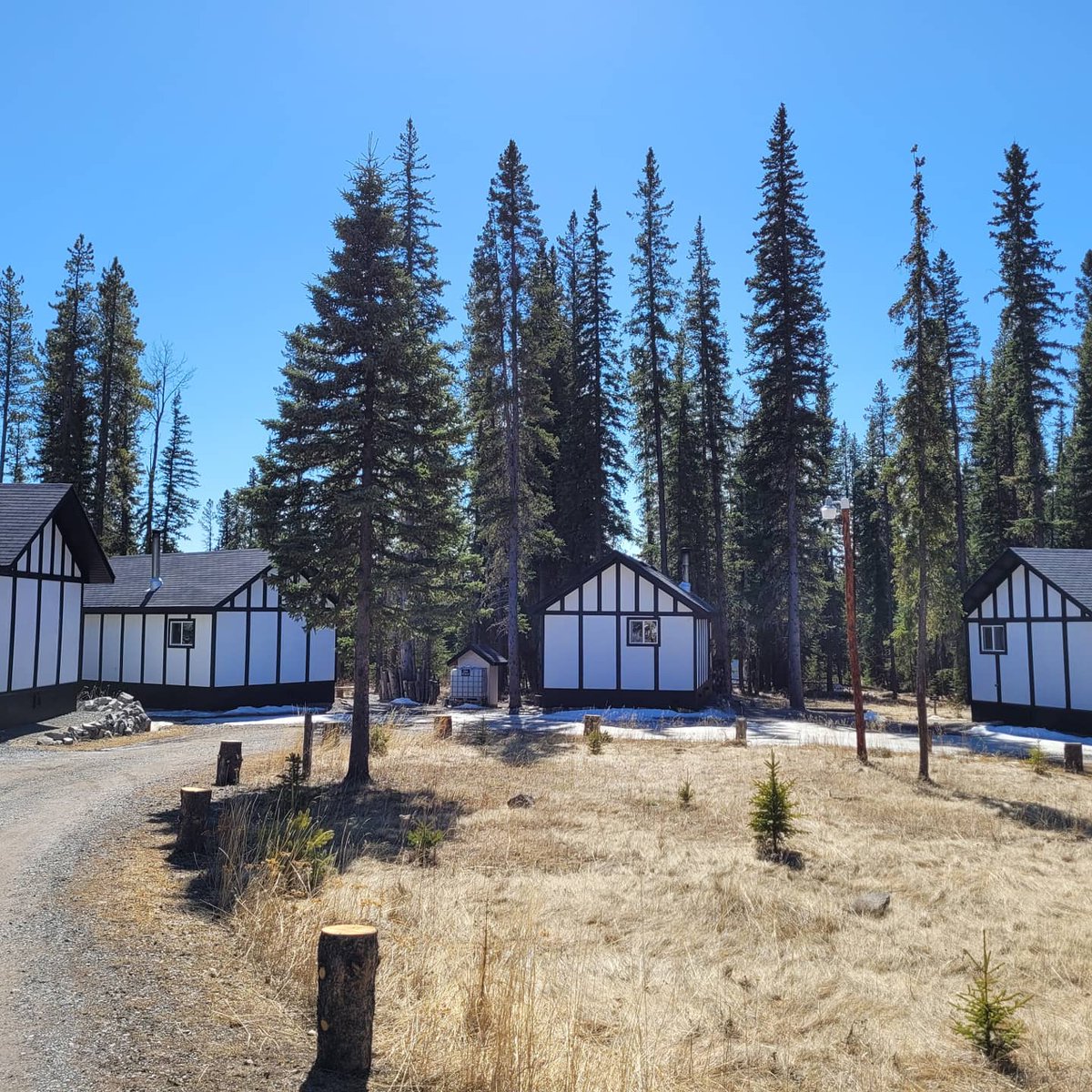 expansecottages's tweet photo. Another beautiful day in Nordegg!! 🌞😊🌞

#nordegg #nordegglife #nordeggalberta #nordeggadventures

#nordeggcabins #cabinlife #dtcountry #explorealberta #getoutside #discoveralberta #expansecottages #weekendgetaway #travelalberta #clearwatercounty #cozycabins https://t.co/ifRun2suQ8