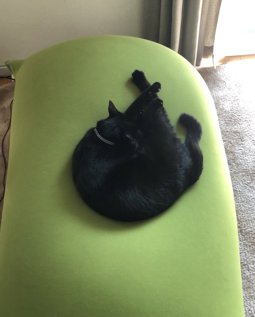 猫の行動を記録できる首輪 キャトログ により 留守中の猫さんがほぼなにもしてないことが判明 3秒間走りました Togetter