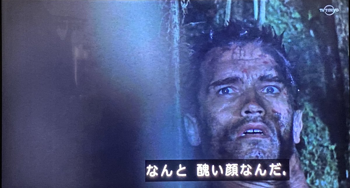 午後ロー X シュワ Hotワード