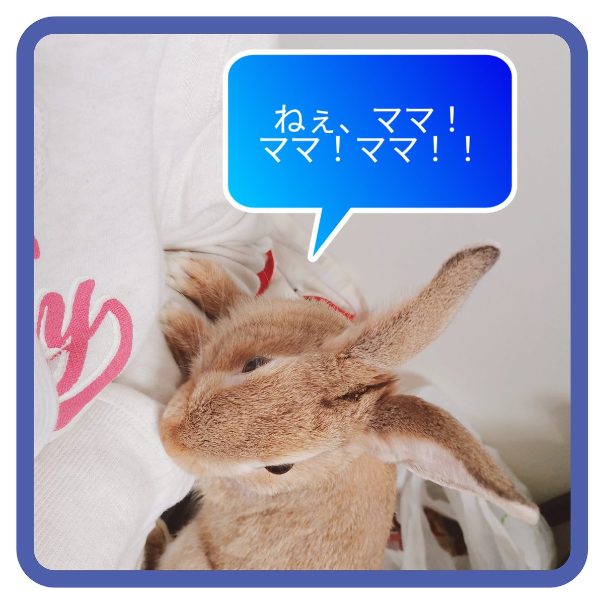 うーた