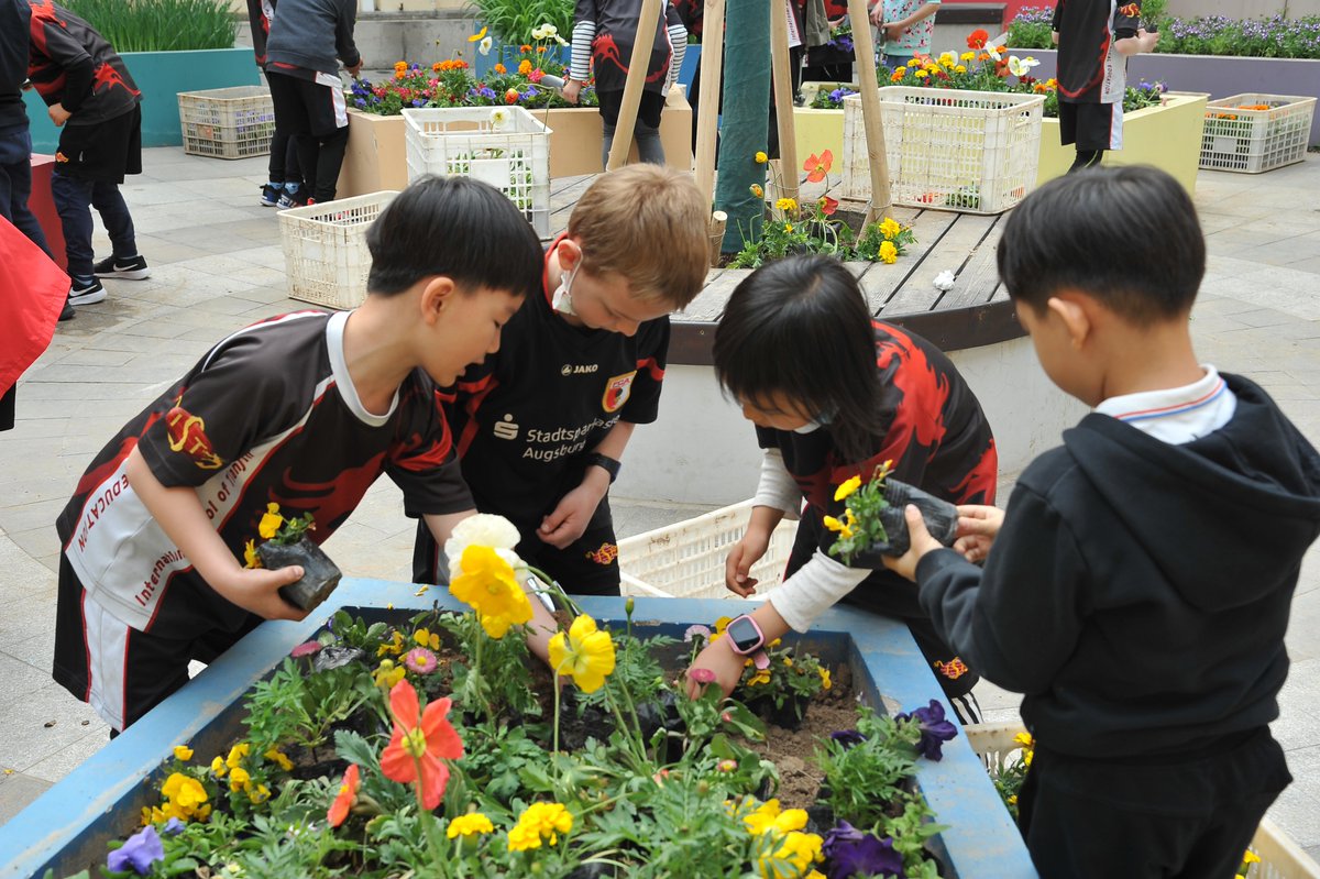 ISTianjin (@i_s_tianjin) on Twitter photo As Spring Arrives, IST Grade 1 Take Charge of Their Garden!
#spring #grade1 #plantingflowers #gardening #savetheworld #grade1garden #sharingtheplanet #PYP #pypunit #ististhebest
<a href="/ibpyp/">IB PYP</a> <a href="/edutopia/">edutopia</a> @IrishFarley1 <a href="/iborganization/">International Baccalaureate</a> <a href="/beijingkids/">beijingkids</a> <a href="/IS_Community/">International School Community</a> <a href="/CISEducation/">Council of International Schools</a> <a href="/MissFMitchell/">Felicity Mitchell</a> As Spring Arrives, IST Grade 1 Take Charge of Their Garden!
#spring #grade1 #plantingflowers #gardening #savetheworld #grade1garden #sharingtheplanet #PYP #pypunit #ististhebest
<a href="/ibpyp/">IB PYP</a> <a href="/edutopia/">edutopia</a> @IrishFarley1 <a href="/iborganization/">International Baccalaureate</a> <a href="/beijingkids/">beijingkids</a> <a href="/IS_Community/">International School Community</a> <a href="/CISEducation/">Council of International Schools</a> <a href="/MissFMitchell/">Felicity Mitchell</a>