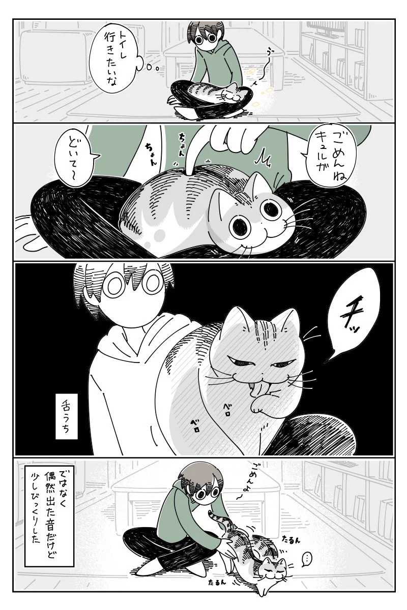 愛猫に舌打ちされた！？偶然の出来事なのか、意図的なのかどっち？ｗｗ