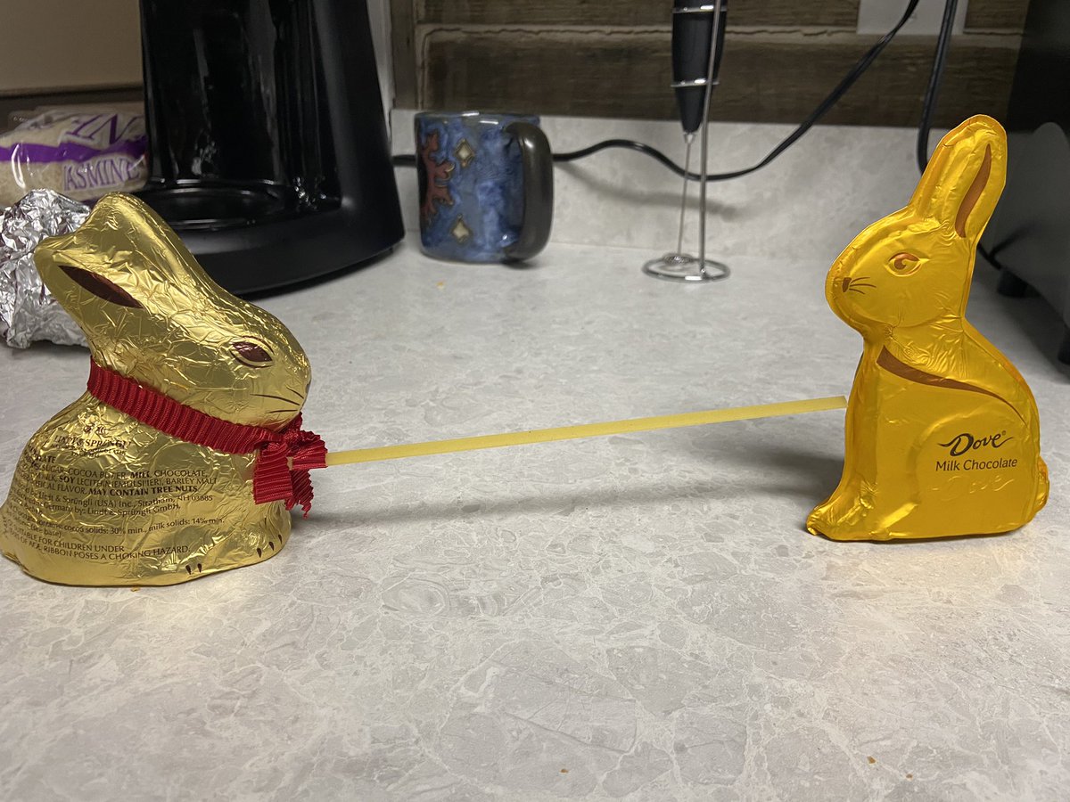 mcarney__'s tweet photo. @ds106dc Ft. bunny tug of war
Is that in the olympics? If not, it should be! 
#dailycreate #ds106 https://t.co/DWKEySjnig